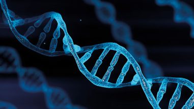 Passt_die_DNA_der_SEA_noch